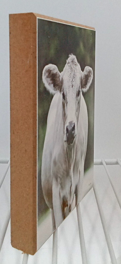 Cow Block Sign Picture White Animal Face Black Nose Wood Farm House Country NEW