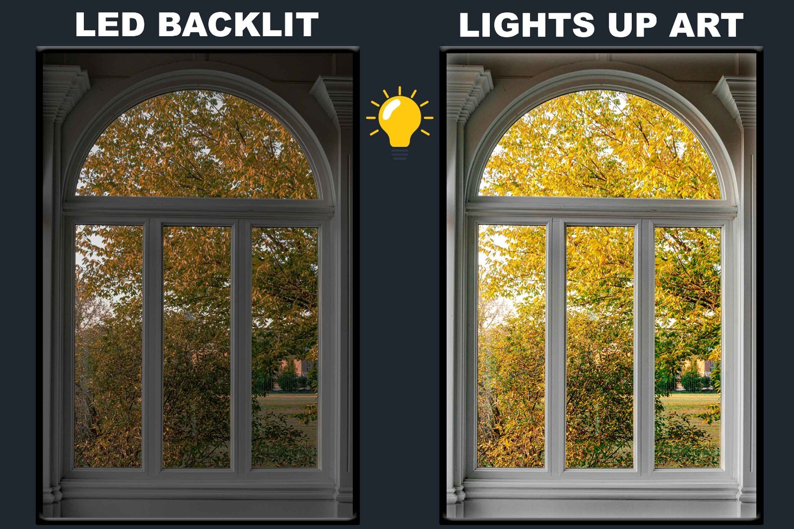 LED Backlit Window View Wall Art Lighted Frame – wood framed view of tree