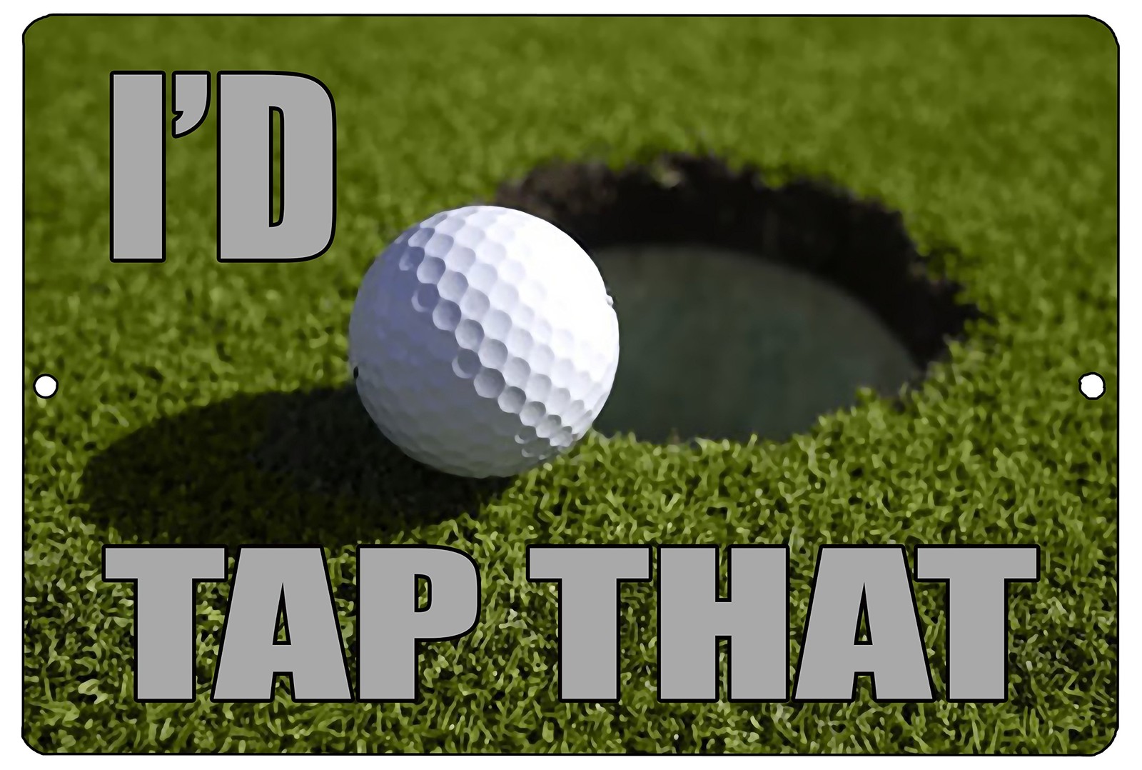 Rogue River Tactical Funny Golf Metal Tin Sign Wall Decor I’d Tap That Putt M…