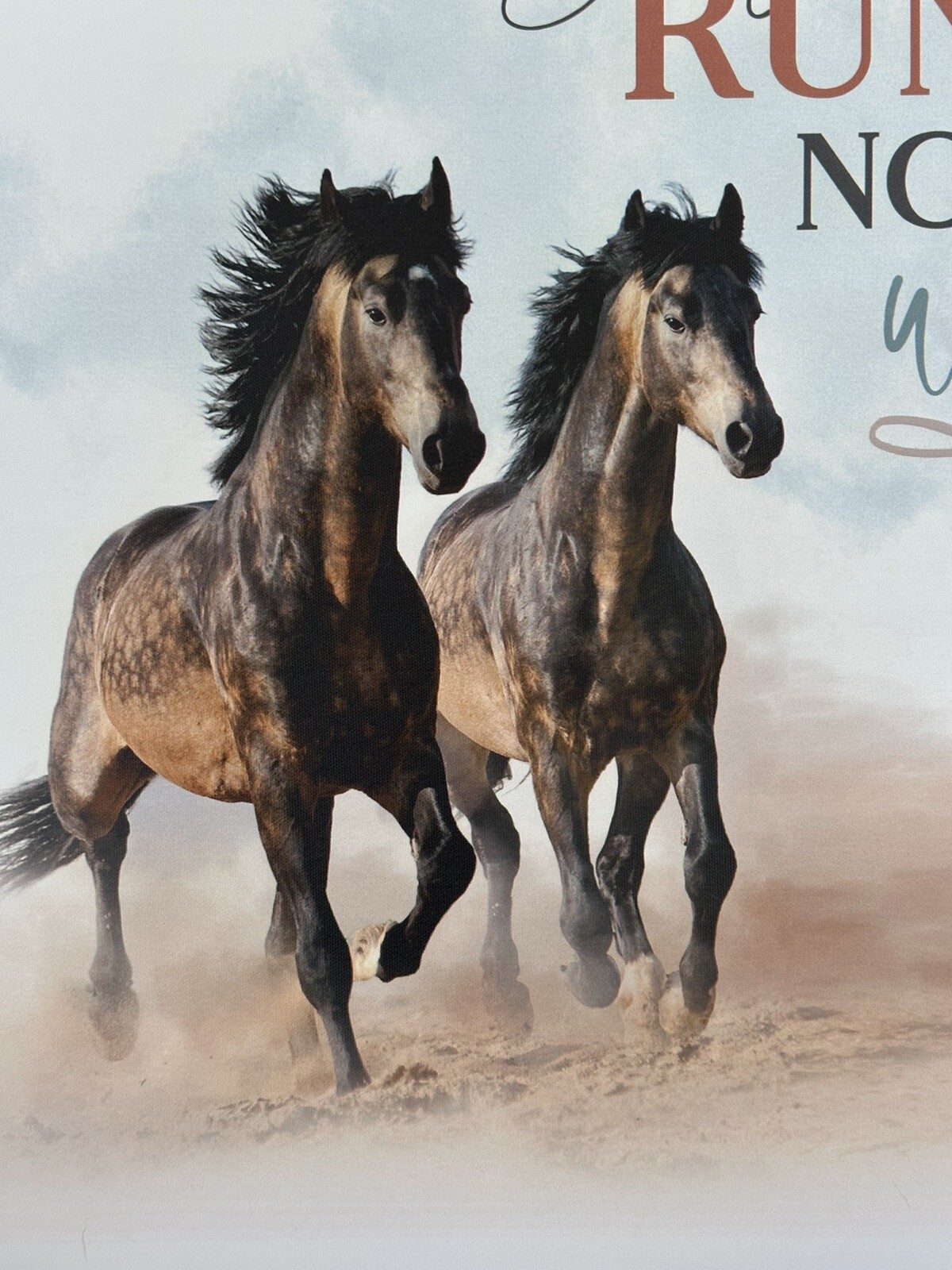 HORSE Spirit Christian Art Bible Equine Run Not Weary Inspiration DecoNEW Canvas