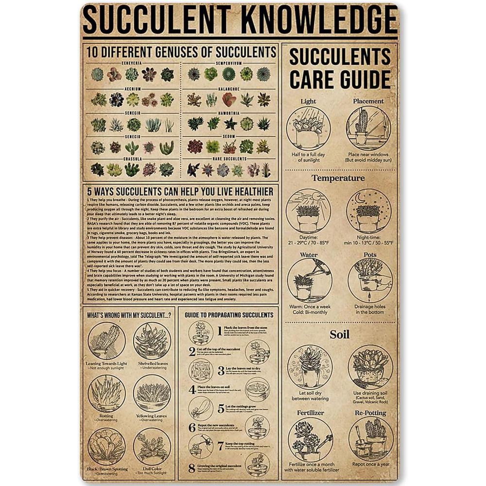 Succulent Care Sign Aluminum Sign 8×12 Vintage Plant ID Watering Tips