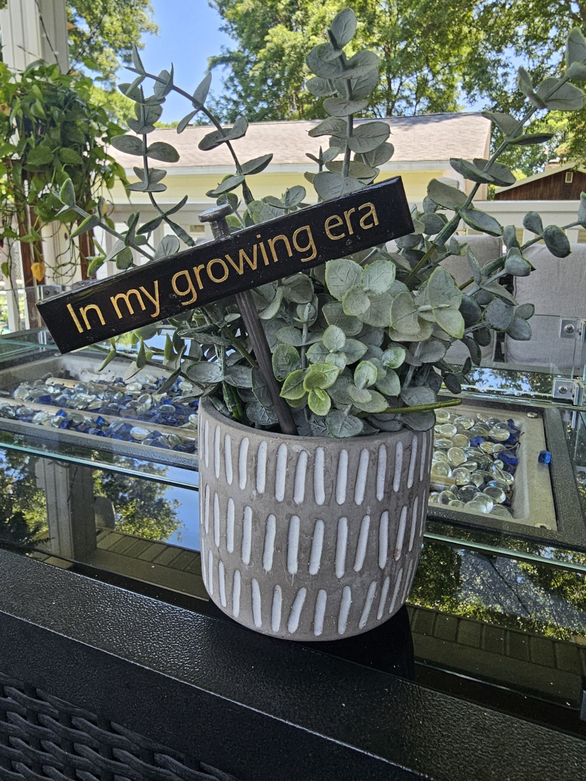 Plant Sign-Ceramic Sign On 6 Inch Stainless Stake-Funny Plant Sign-Garden Decor