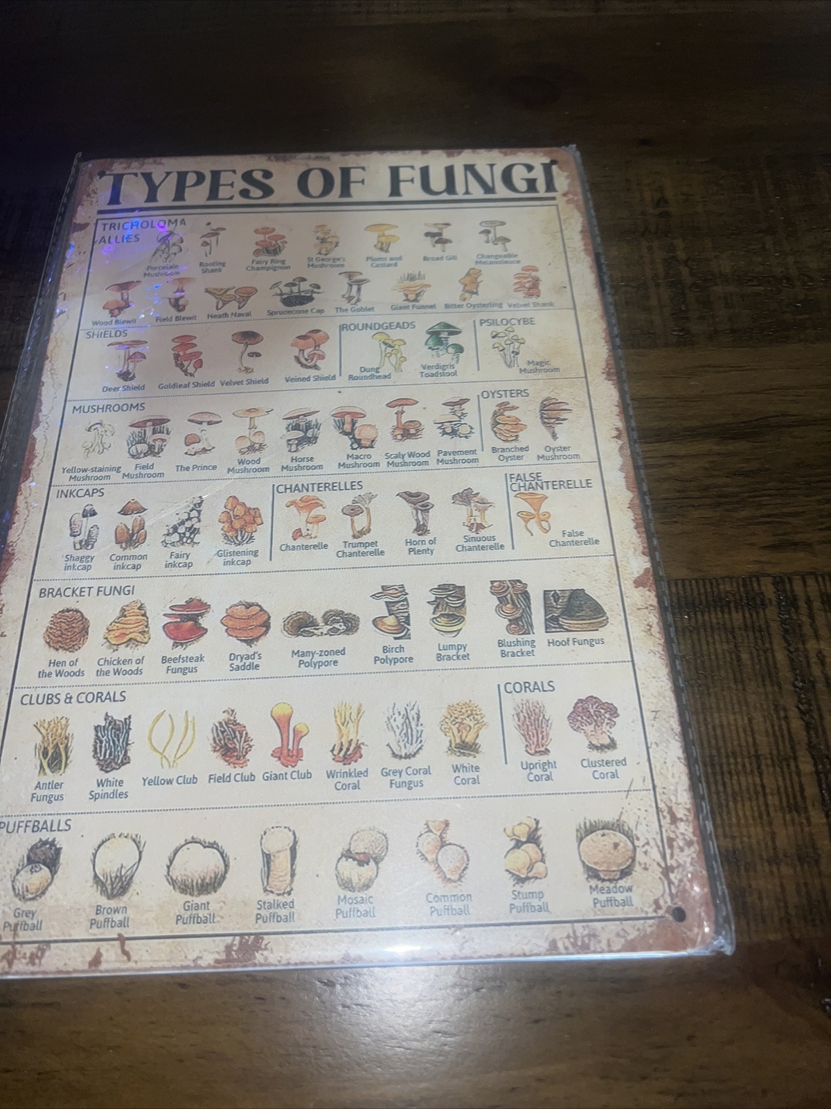 12″ X 8″ Home Decor Kitchen Metal Sign ” TYPES OF FUNGI”